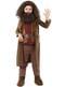 Hagrid wig for kids - Harry Potter