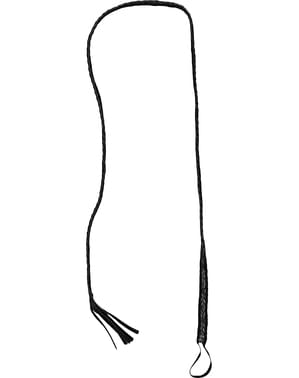 Animal trainer's whip