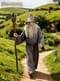 Disfraz de Gandalf con peluca para hombre - El Señor de los Anillos