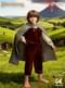 Frodo kostuum voor jongens - The Lord of the Rings