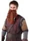 Costume di Gimli - Il Signore degli Anelli