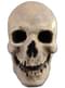 Adult's Skeleton of the Past Mask