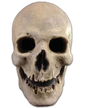 השלד של Adult של מסכת העבר