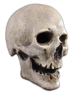Adult's Skeleton of the Past Mask