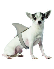 Haifisch Kostüm für Hunde