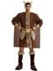 Déguisement viking pour homme