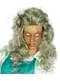 Perruque grise de femme zombie