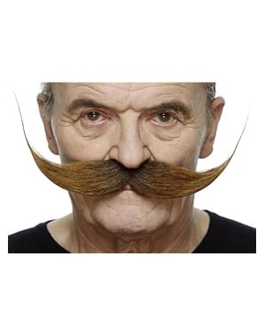 Moustache recoiffée châtain homme