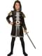 Kids Medieval Knight Costume