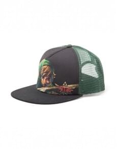 Gorra de retrato Link Zelda