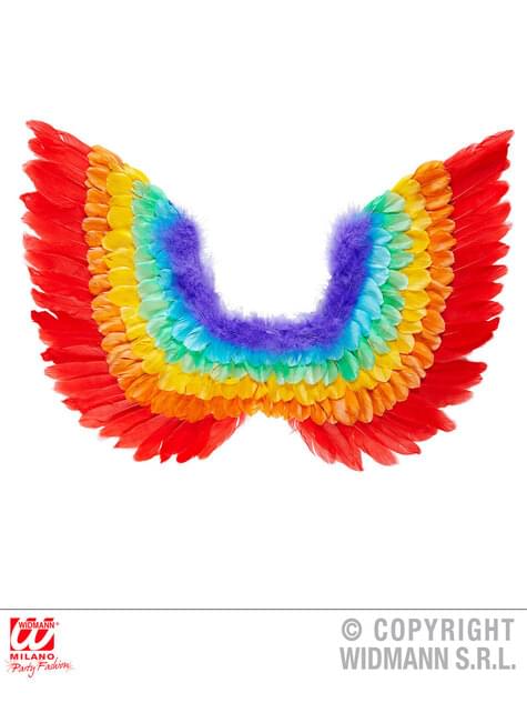 Adults Rainbow coloured Feather Wings