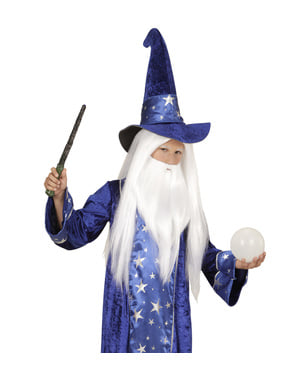 Kids Merlin wizard wig with beard
