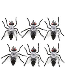 Conjunto de 6 moscas infetadas