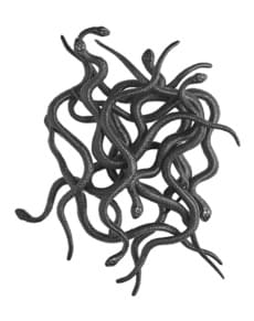 Conjunto de 12 serpentes assassinas