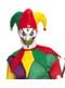 Adults' multicolour jester costume kit