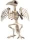 Dekorative Figur Vogelskelett