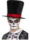 Adults' Day of the Dead top hat