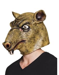 Masque rat adulte