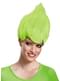 Parrucca di Trolls verde per adulto