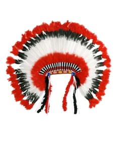 Plumes d'indien