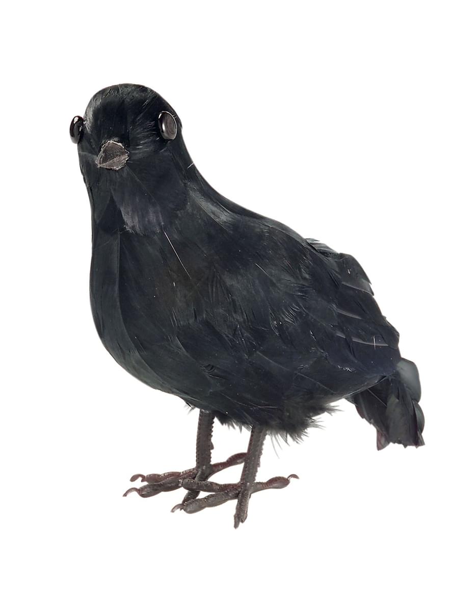 Corvo Tenebroso