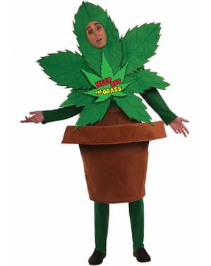 Kostium zioło dobroci