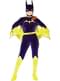 Gotham Girls Batgirl kostume