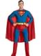 Superman Adult Costume