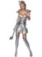 The Tin-Man The Wizard of Oz Adult Costume (Female)