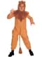 Lion The Wizard of Oz Kids Costume