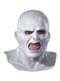 Masque de Voldemort