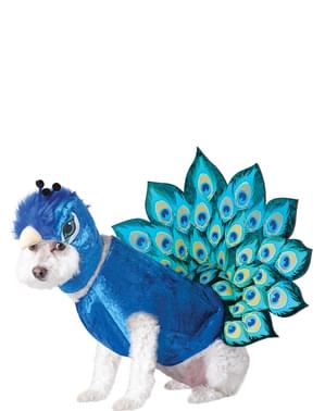 Påfågeldräkt till hund