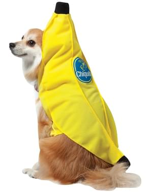 Banandräkt till hund