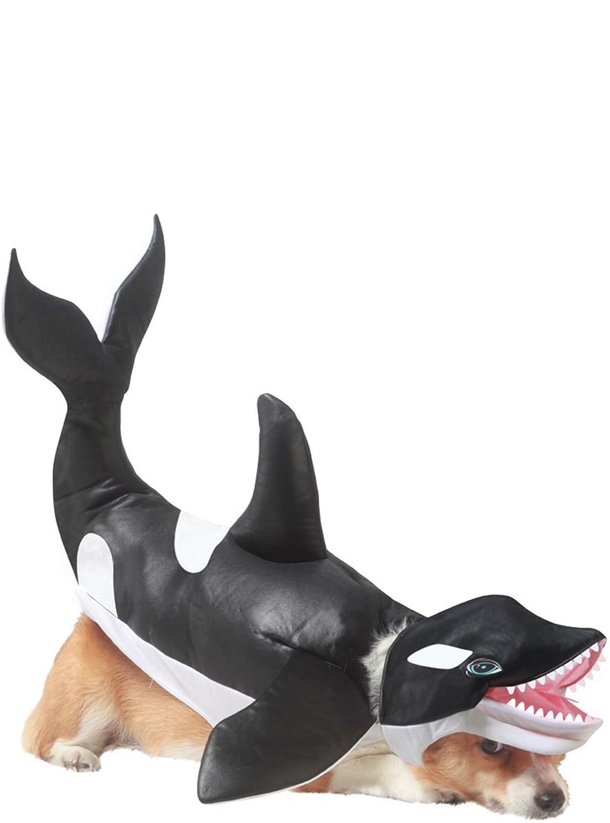 Orca ruha a kutyák számára