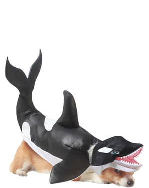 Köpekler için Orca kostümü