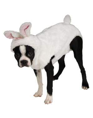 Costume coniglio per cani