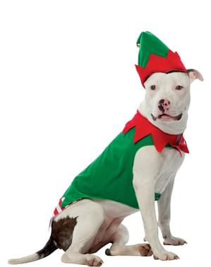 Disfraz de elfo para perro