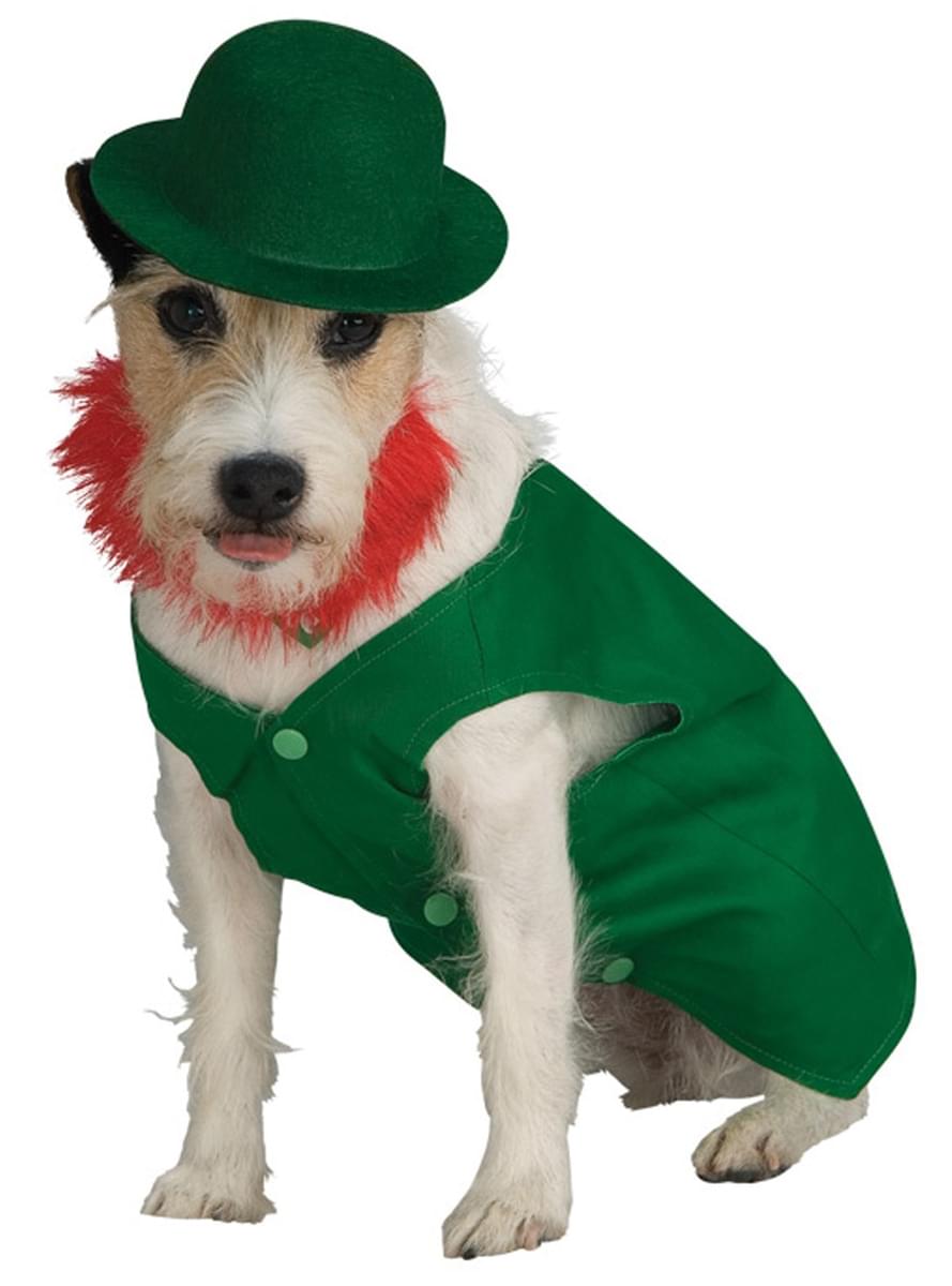 Hundekostüm Leprechaun
