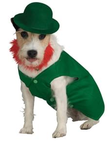 Leprechaun Dog Costume