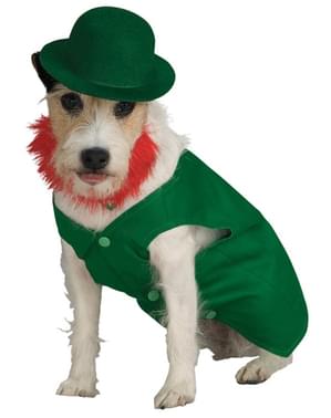 Leprechaun dräkt till hund