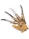Deluxe Freddy Krueger Metal Glove