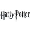 Aniversário Harry Potter: decoração e artigos de festa