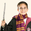 Costumi Harry Potter