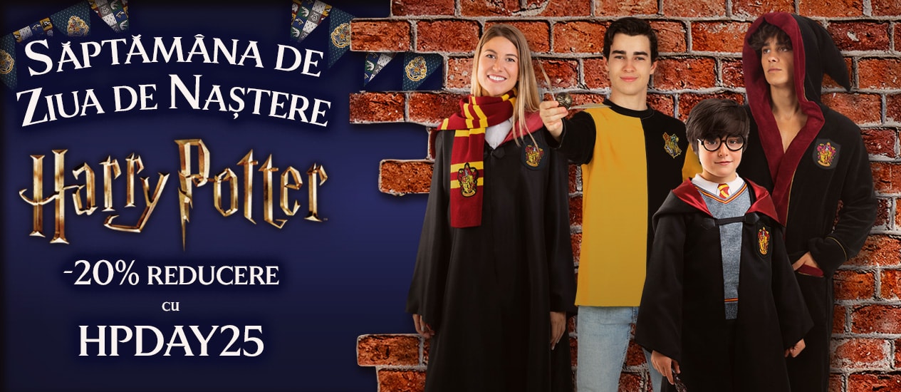 Costume Harry Potter