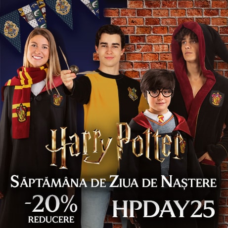 Costume Harry Potter