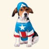 Superheroes Costumes for pets