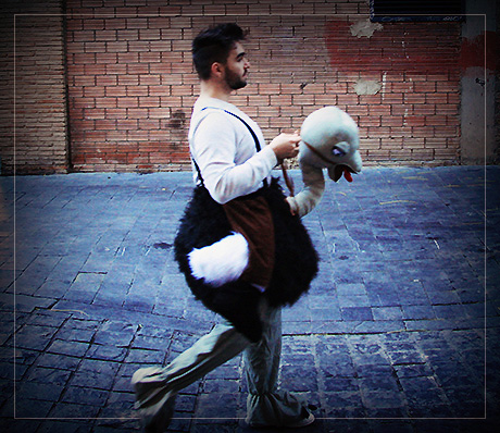 Ride On & Carry Me Costumes