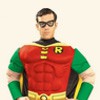 Robin