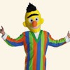 Bert