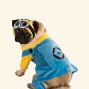 Minions for dogs